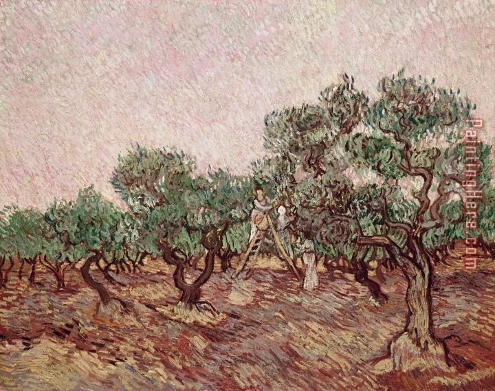 Vincent van Gogh The Olive Pickers